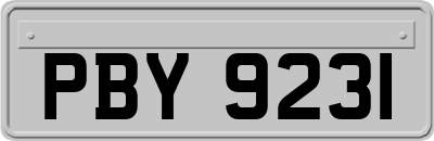 PBY9231