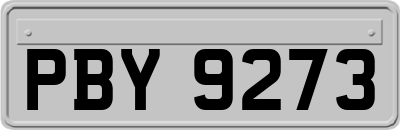 PBY9273