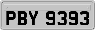 PBY9393