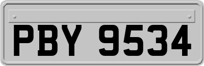 PBY9534