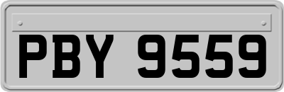 PBY9559