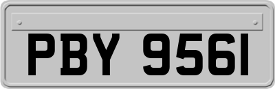 PBY9561