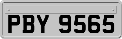 PBY9565