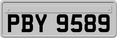 PBY9589