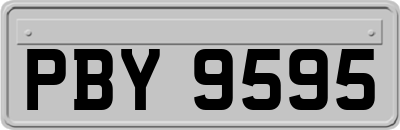 PBY9595