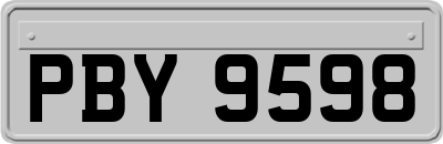 PBY9598