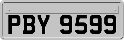 PBY9599