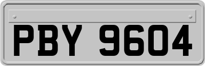 PBY9604