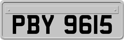 PBY9615