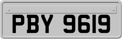 PBY9619