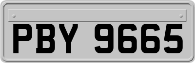 PBY9665