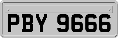 PBY9666