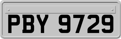 PBY9729