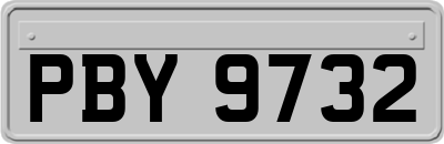 PBY9732