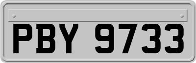 PBY9733