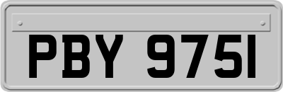 PBY9751