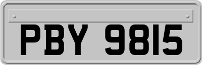 PBY9815