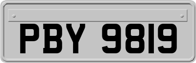 PBY9819