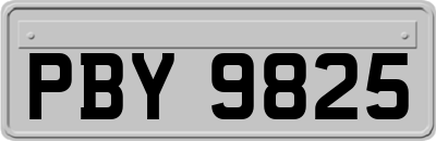 PBY9825