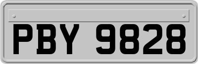 PBY9828