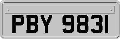 PBY9831