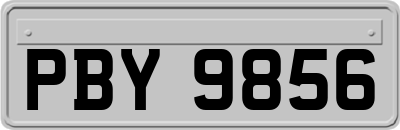 PBY9856