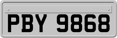 PBY9868