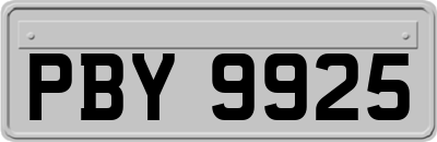 PBY9925