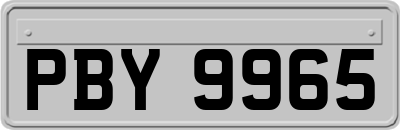 PBY9965