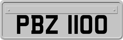 PBZ1100