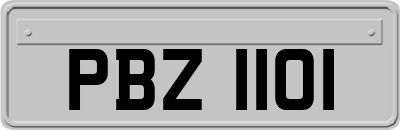 PBZ1101