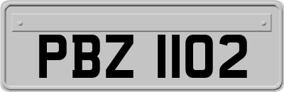 PBZ1102