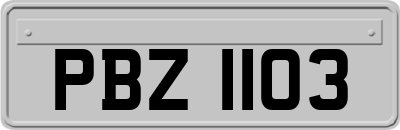 PBZ1103