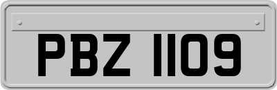 PBZ1109