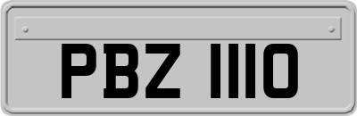 PBZ1110