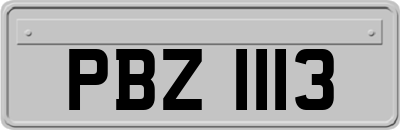 PBZ1113