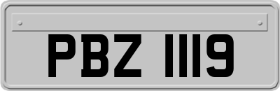 PBZ1119