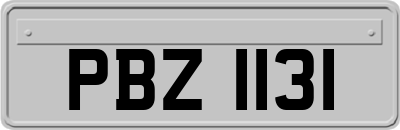 PBZ1131