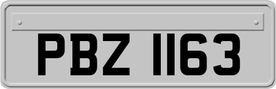 PBZ1163