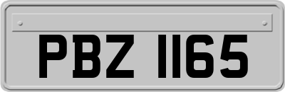 PBZ1165