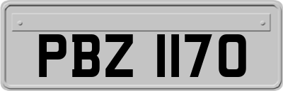 PBZ1170