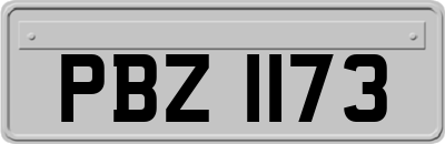 PBZ1173