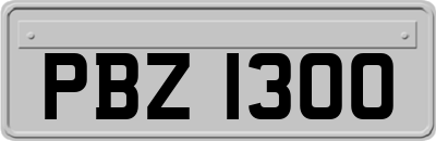 PBZ1300