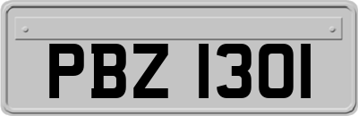 PBZ1301