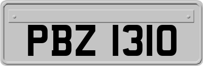 PBZ1310