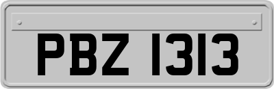 PBZ1313