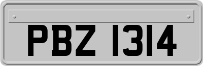 PBZ1314