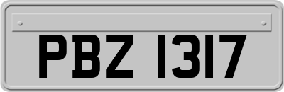 PBZ1317