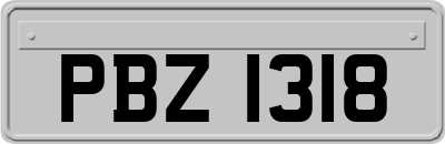 PBZ1318