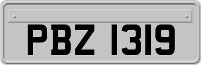 PBZ1319